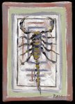 03_Scorpicon 5 X 7.jpg